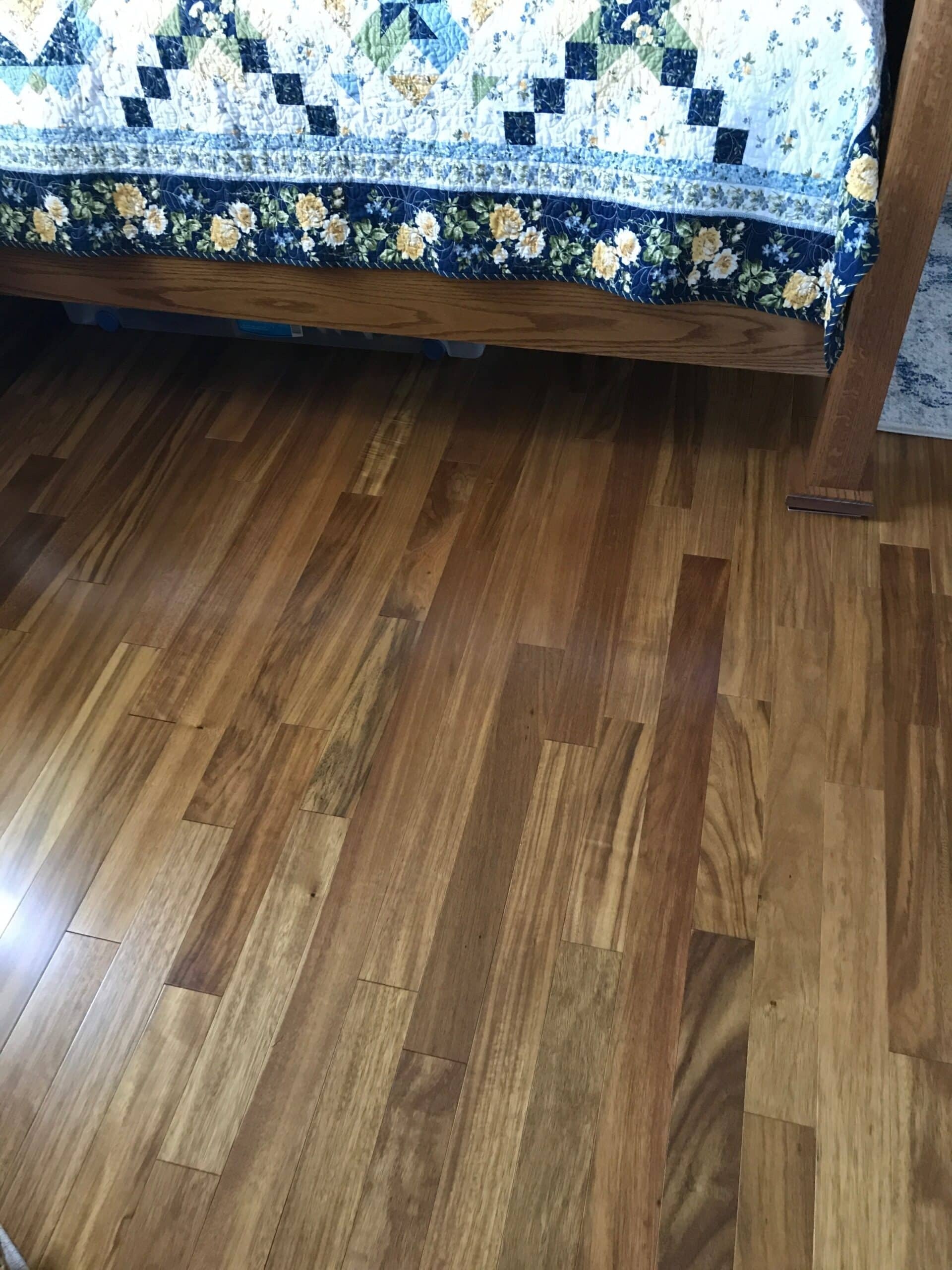 Single Room Dark Wood